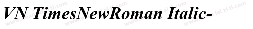 VN TimesNewRoman Italic字体转换